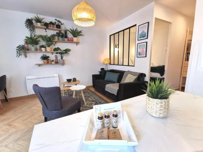 1 Bedroom Apartment