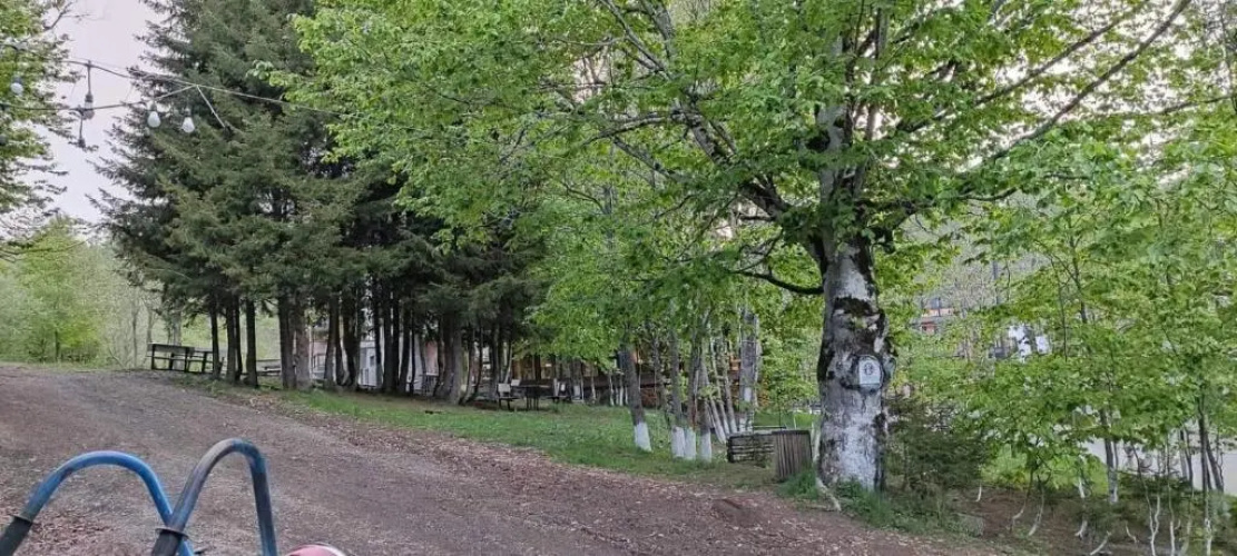 Bakuriani Didveli residence E-30