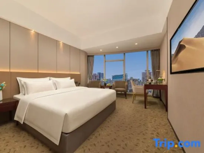 Standard Double room with city view