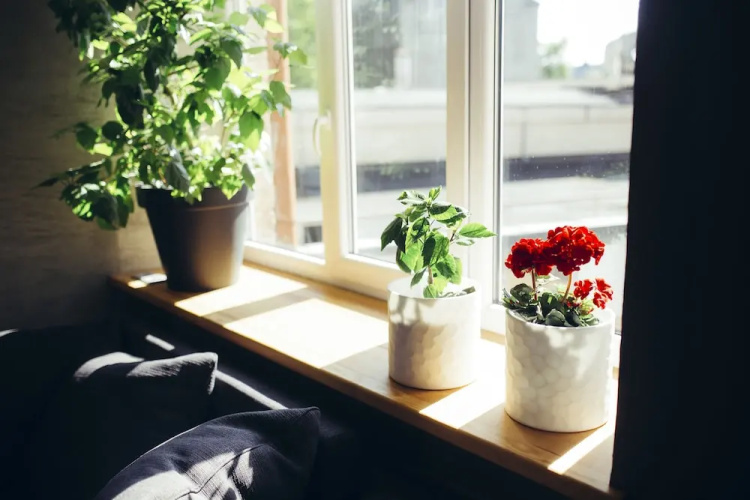 Baltic Design Apartments with free parking and self check-in