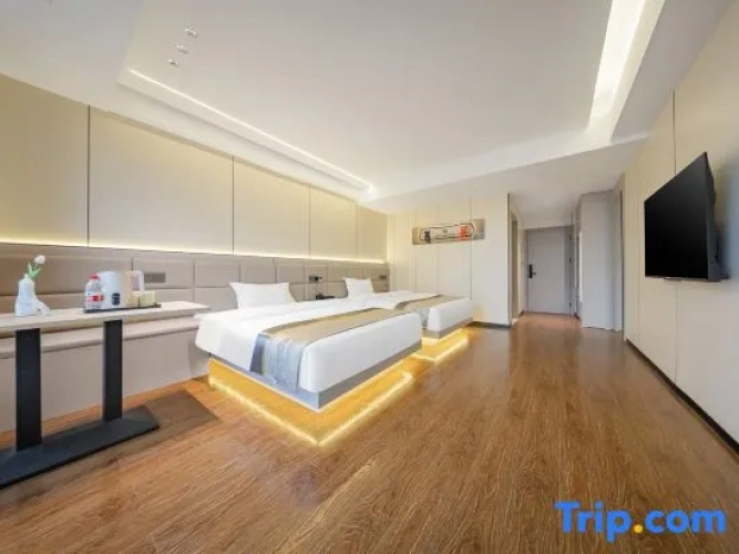Standard Twin room with city view