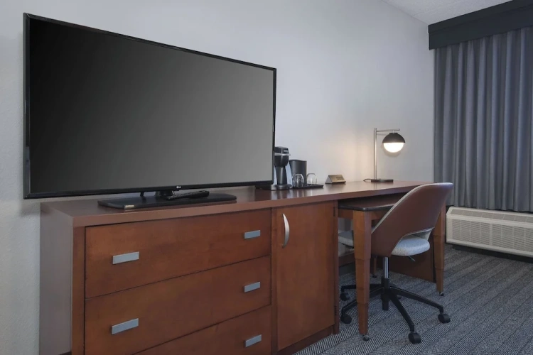 1 Bedroom Suite