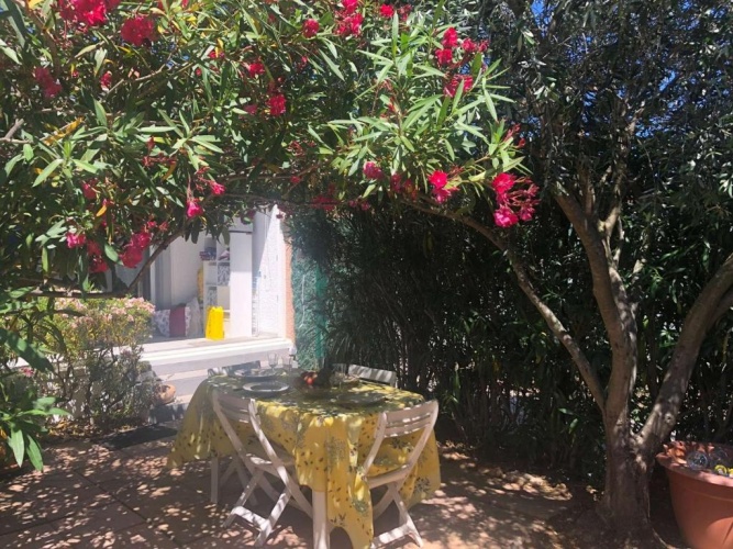 Cottage