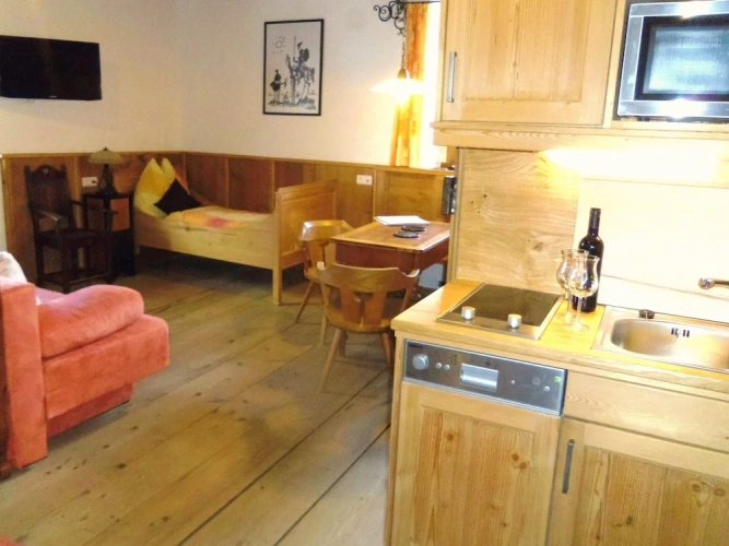 1 Bedroom Classic Studio with mountain view