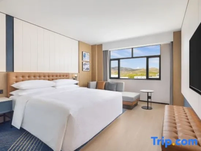 Premier Double Suite