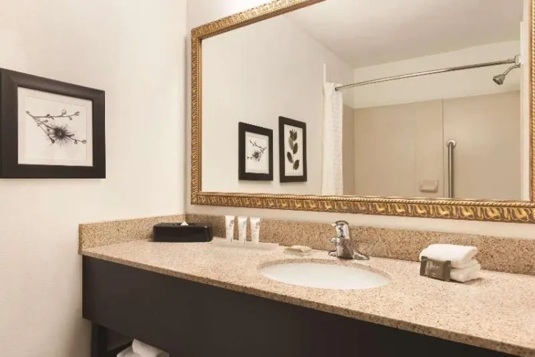 Quadruple Suite