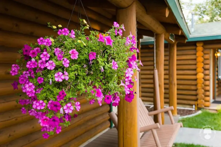 Cabin Creek Inn