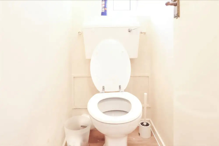 Patrick Connolly Gardens