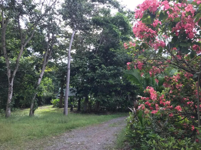 Palapa Hut Nature Hostel & Campground