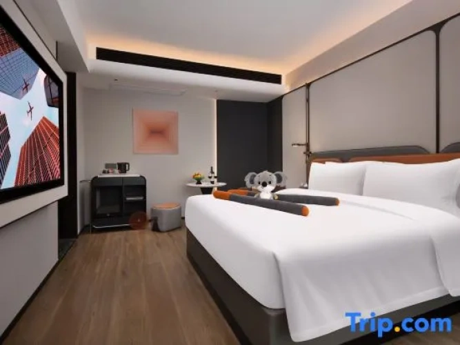 Standard Double room with city view