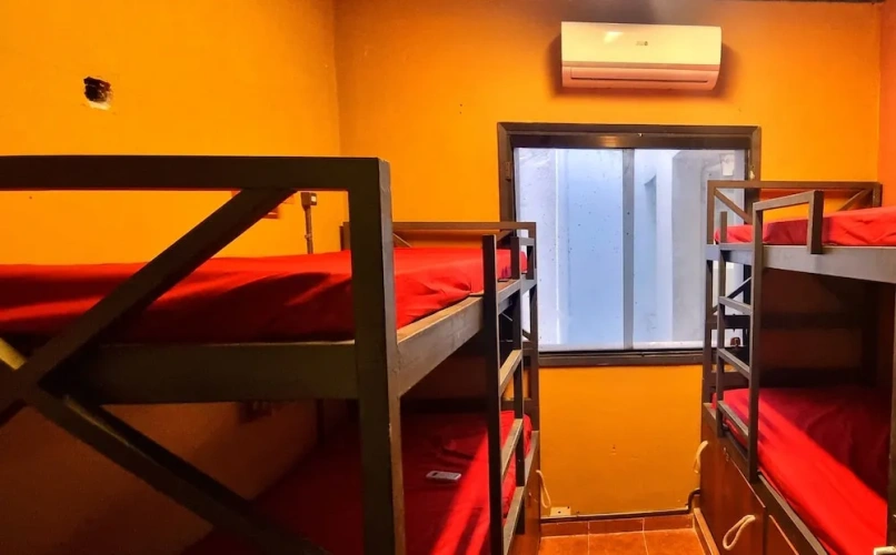 Bed in Dorm
