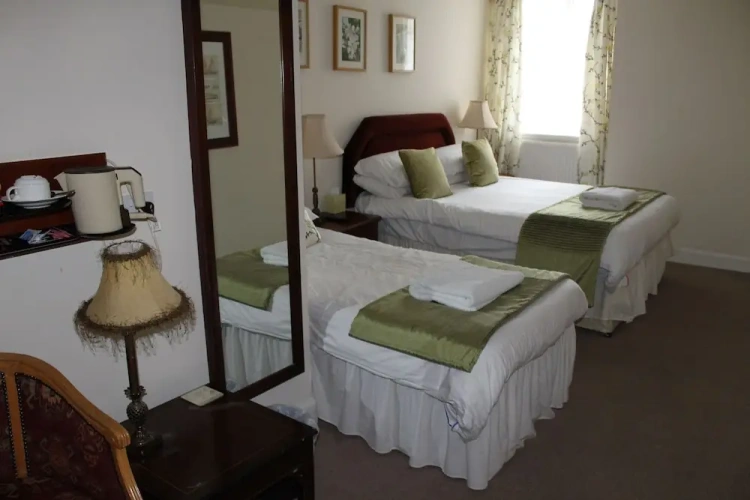 Classic Twin room