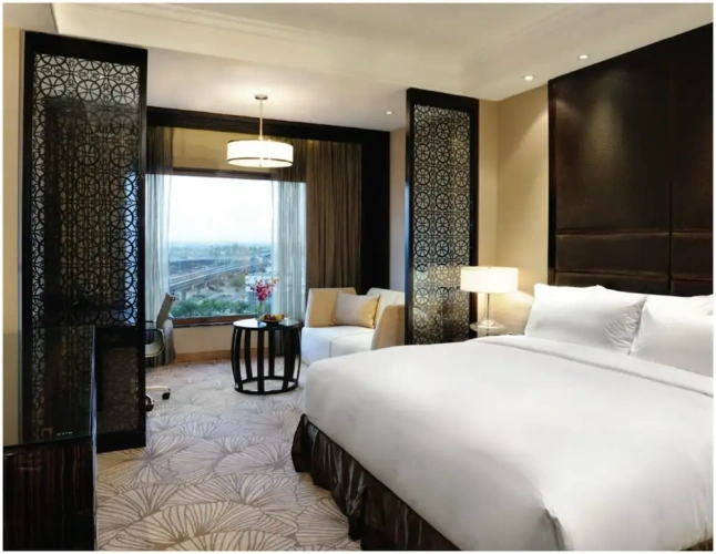 Standard Lounge Access Double room