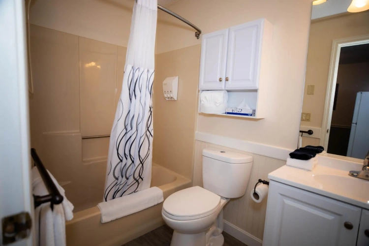 1 Bedroom Suite