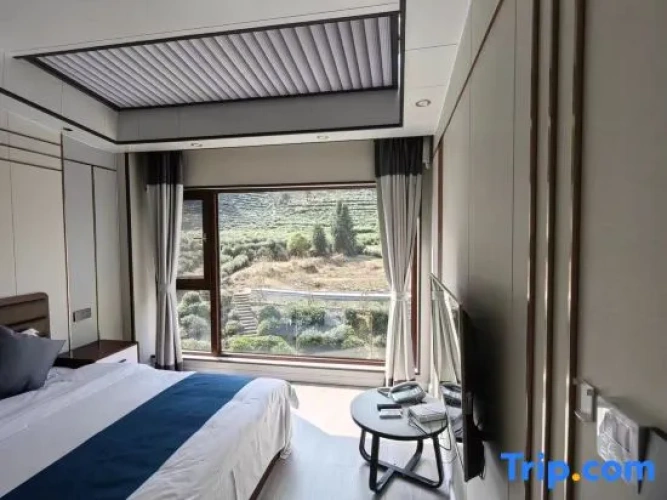 Suite with mountain view