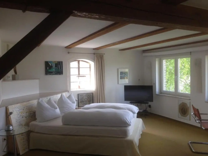 Standard Double room with garden view