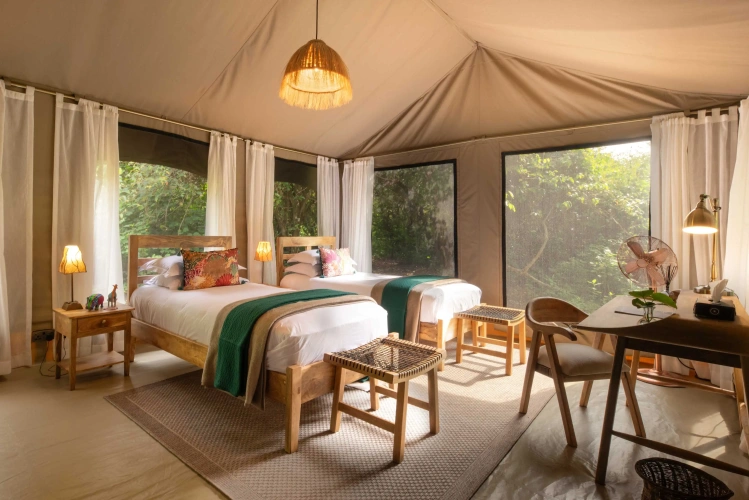 Family Tent