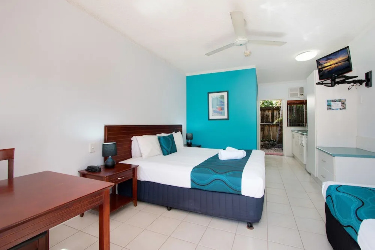 Cairns City Palms
