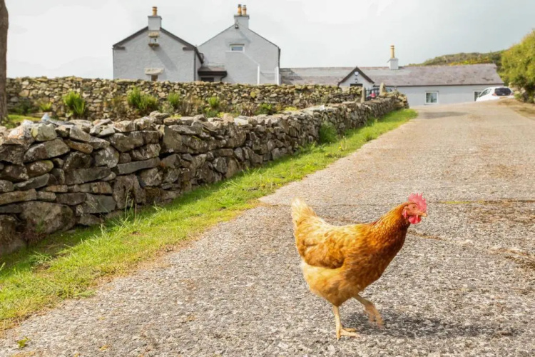 Gorse Hill Farm