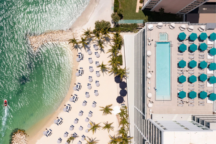 JW Marriott Clearwater Beach Resort and Spa photo 16