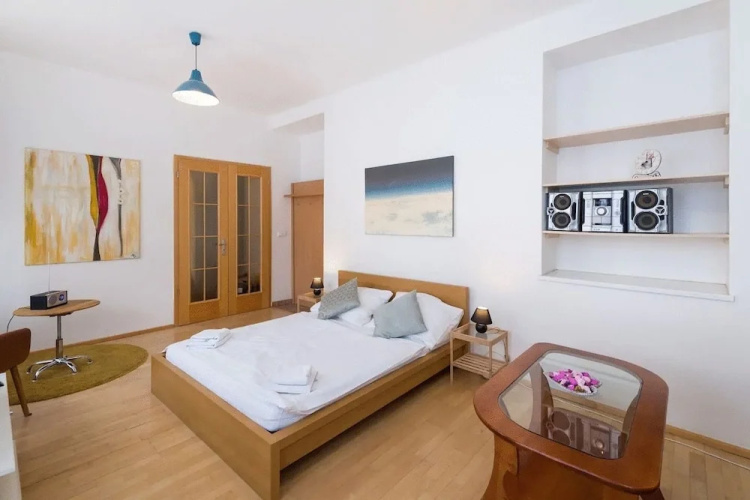 Spasious Apartment in Prague