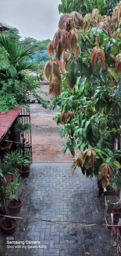 Sihariddh Angkor Villa