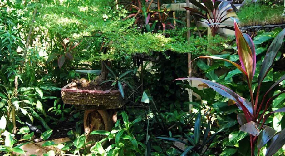 Jardín Sagrado Tulum