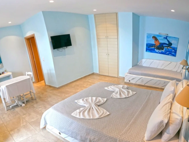 Standard Double room with balcony and with mountain view