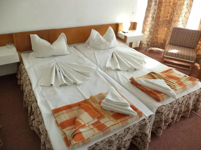 Hotel Banat