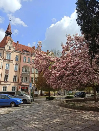Apartament ROZETA centrum 6os
