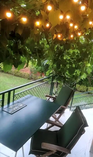 la villa des chats
