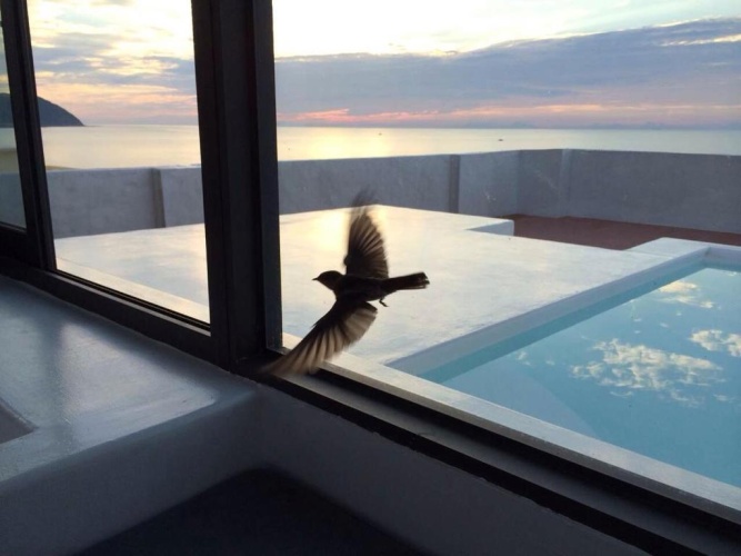 Deluxe Double room with balcony and with sea view