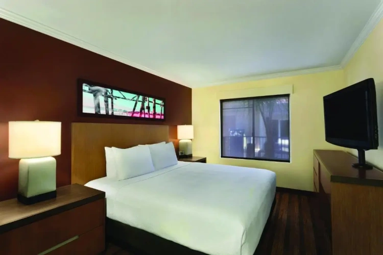 1 Bedroom Double Suite
