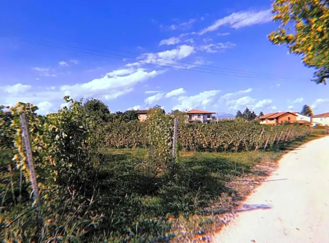 Appartamenti Orchidea