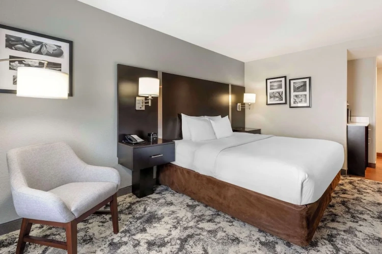 Standard Double room