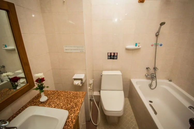 Deluxe Twin room with pool view