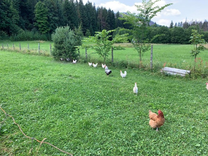 Outside