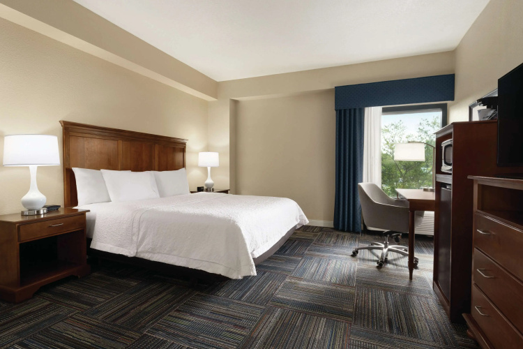 Hampton Inn Atlanta Stone Mountain