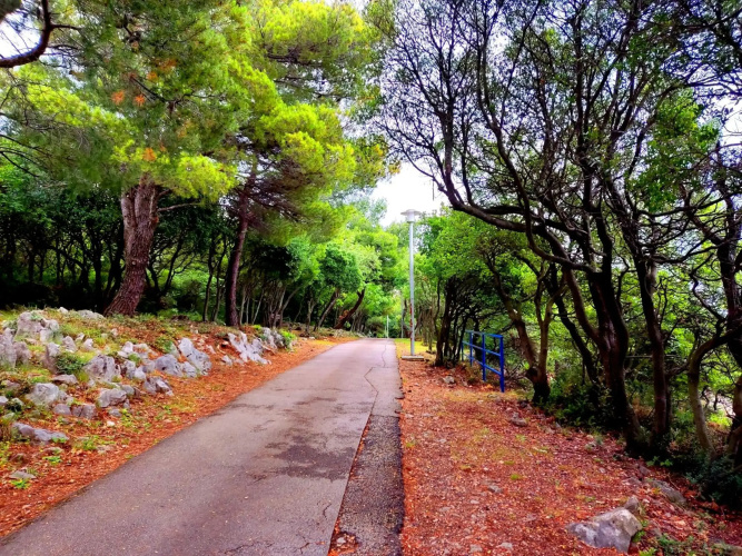Apartman Pelcic