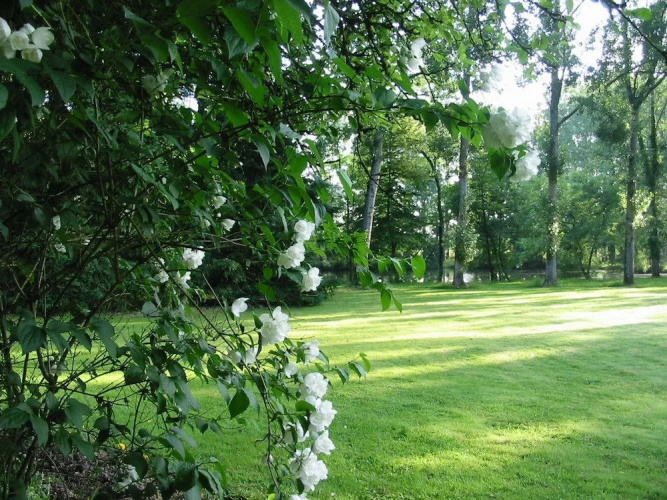 Domaine des Etangs de Bois Robert