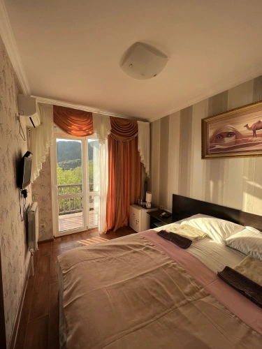 Standard Double room with balcony and with sea view