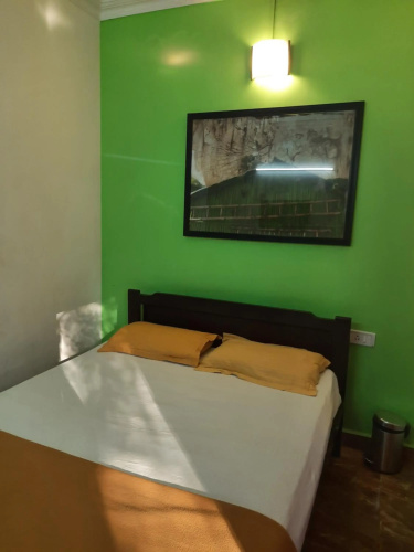 Cherry blossom guest house