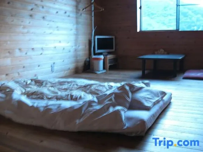 Bed in Dorm