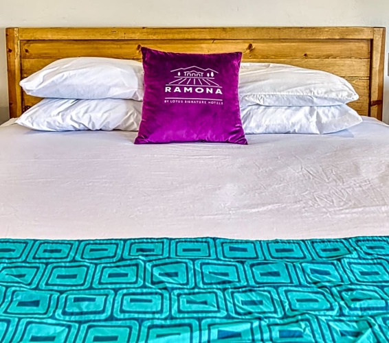 Standard Double room with pool view