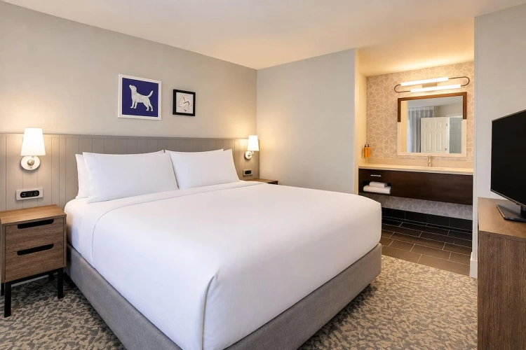 1 Bedroom Double Suite
