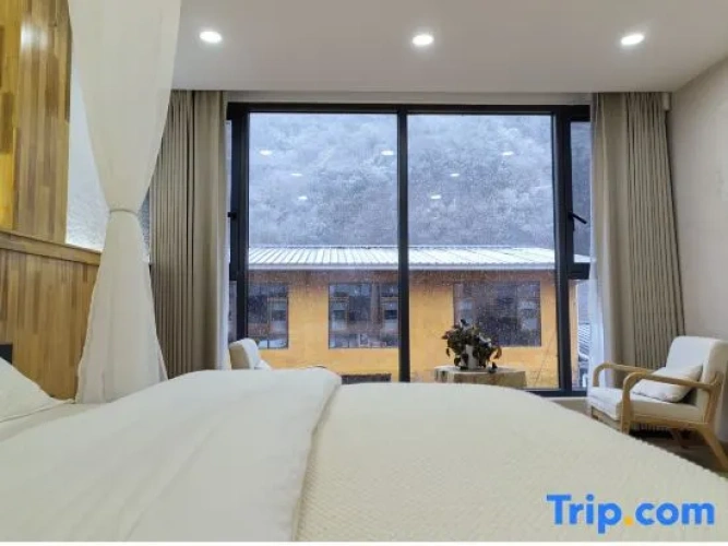 Standard Double room with courtyard view