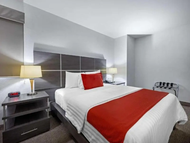 Business Single room