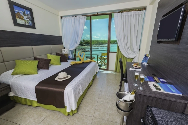 Standard Double room with balcony and with ocean view