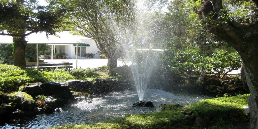 springhill resort
