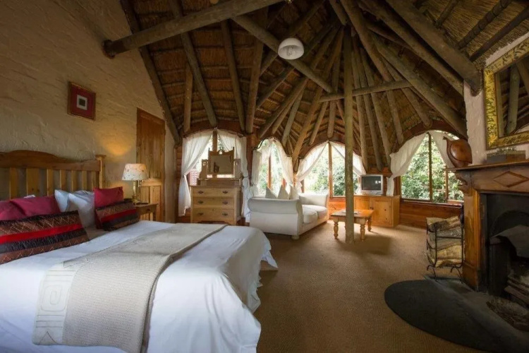 Monkey Valley Beach & Nature Resort